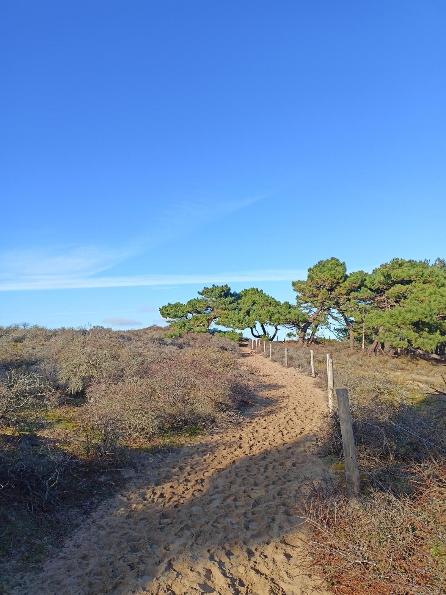 Holiday home Cote D'opale - Maison Cocooning Classe 3 Etoiles *